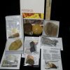 Collection Kits StonesBones | #11 Beginners Fossil Kit (063923E) - The Stones & Bones Collection