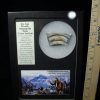 Mammal Fossils StonesBones | Authentic Mammoth Tusk Cross Section (100922F) - The Stones & Bones Collection