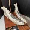 Collector'S Choice StonesBones | Very Rare Lower Jaws Of Titanothere (080823Z)...On Hold For Kern T 08/24/23***Sold - The Stones & Bones Collection