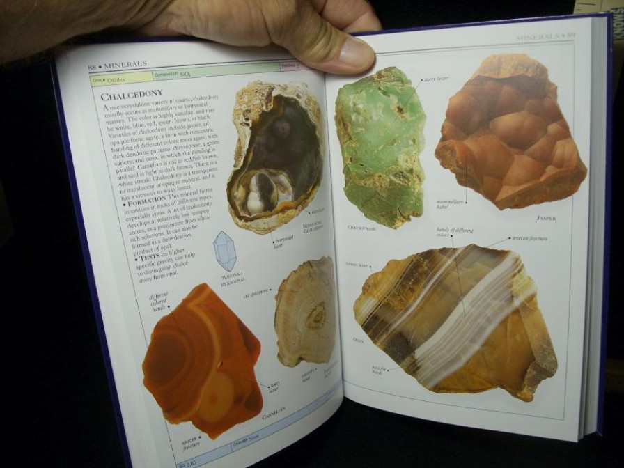 Amethyst Specimens StonesBones | Rock & Mineral Book - Smithsonian Handbooks (032515R) - The Stones & Bones Collection