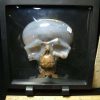 Stone Carvings StonesBones | Agate Crystal Skull Carving(053023D) - The Stones & Bones Collection