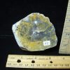 Coprolites StonesBones | Dinosaur Coprolite (Poop) (123123B) - The Stones & Bones Collection