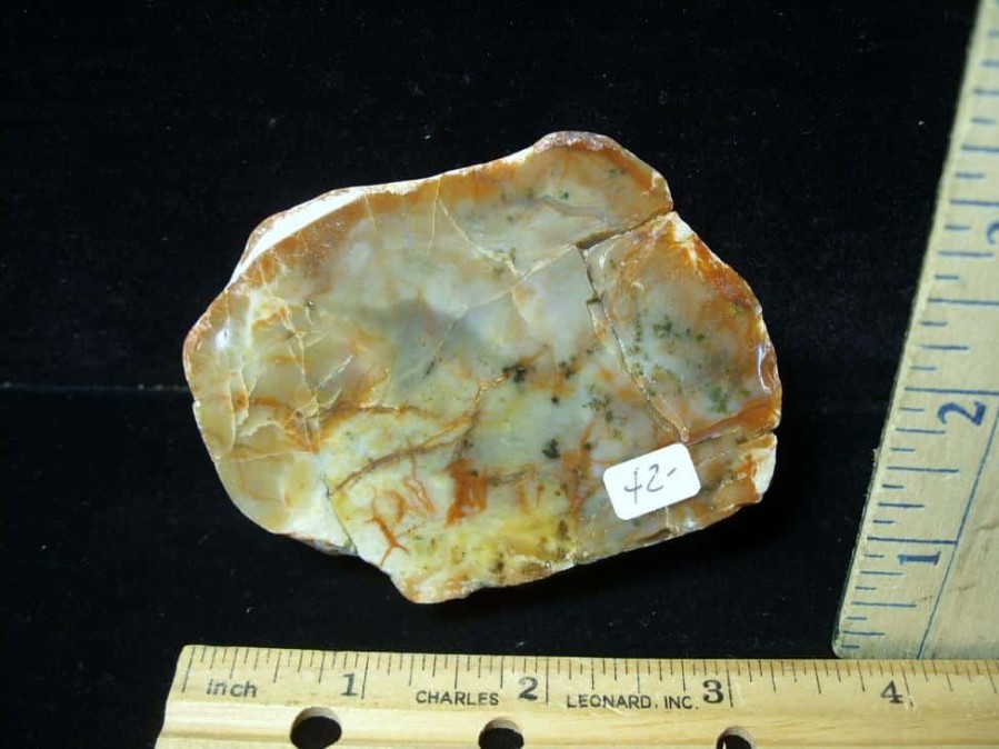 Coprolites StonesBones | Dinosaur Coprolite (Poop) (091422J) - The Stones & Bones Collection